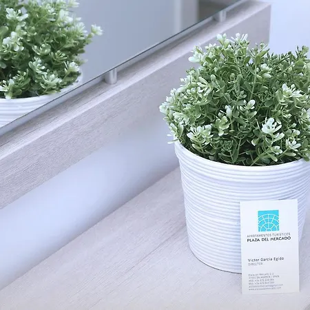 Piso Plaza Mercado 3,4